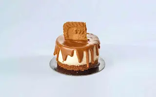 Mini Lotus Mousse Cake