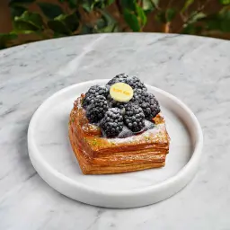 دانيش توت
