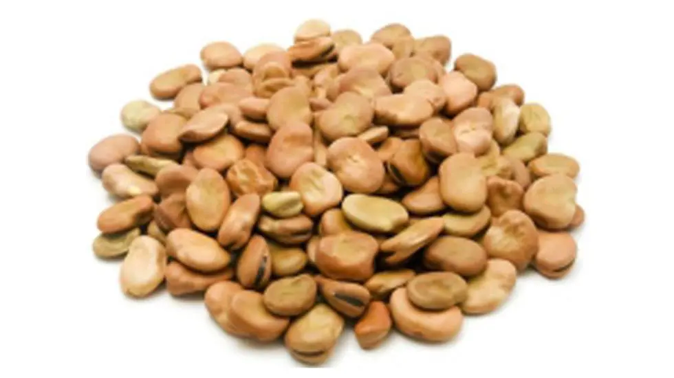 Egyptian Beans