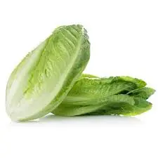 Lettuce
