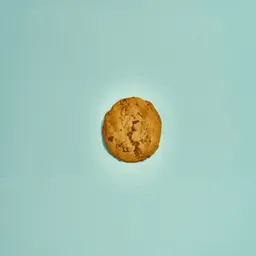 نيويورك كوكي بالشوكولاتة