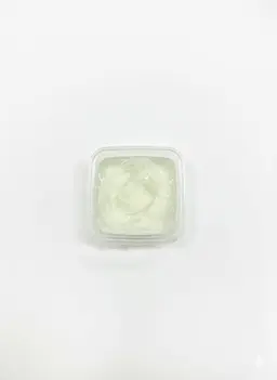 Regular garlic