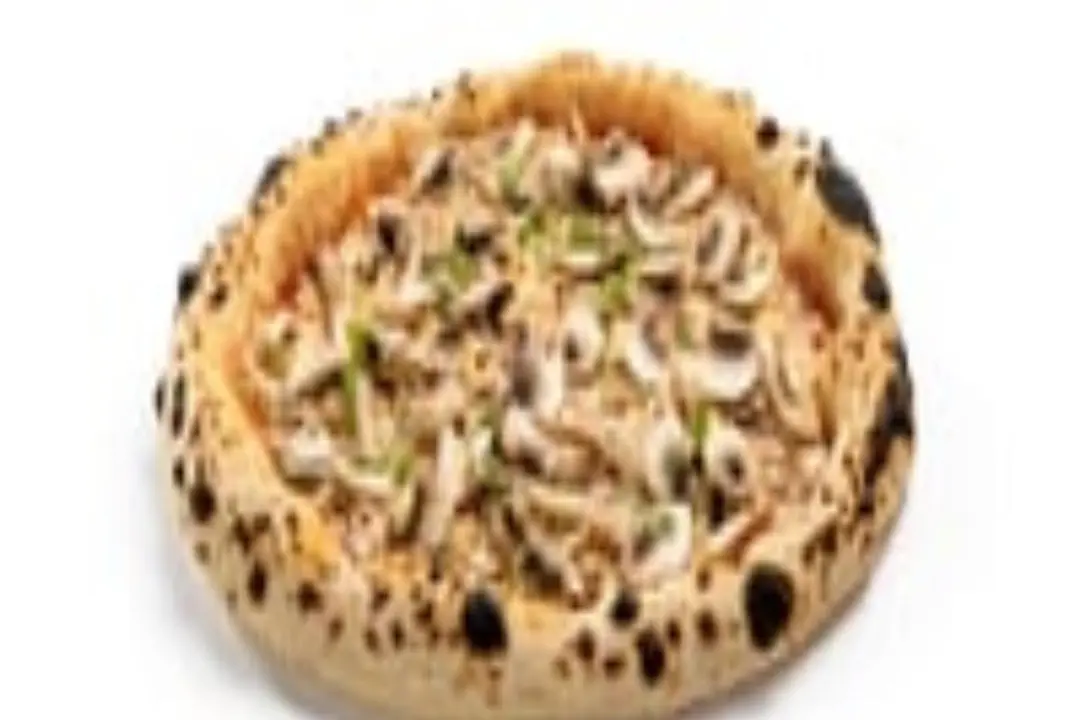 FUNGI MUSHROOM  فونجي مشروم