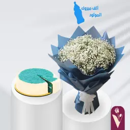 هدية في بيتنا مولود