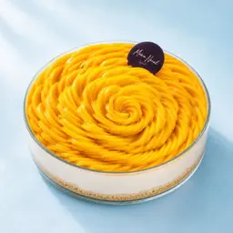 بوكس ترافل مانجو