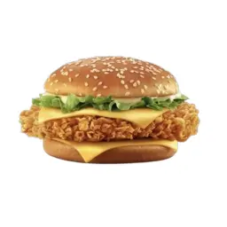 زنجر