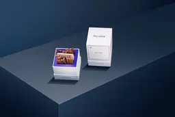 بوكودور فانسي ستيكس