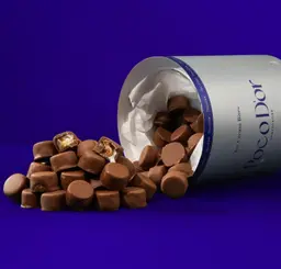 Pocodor Chocolate Ice Cream Bites