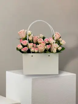 بيبي روز ناعم