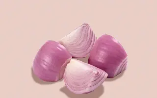 بصل