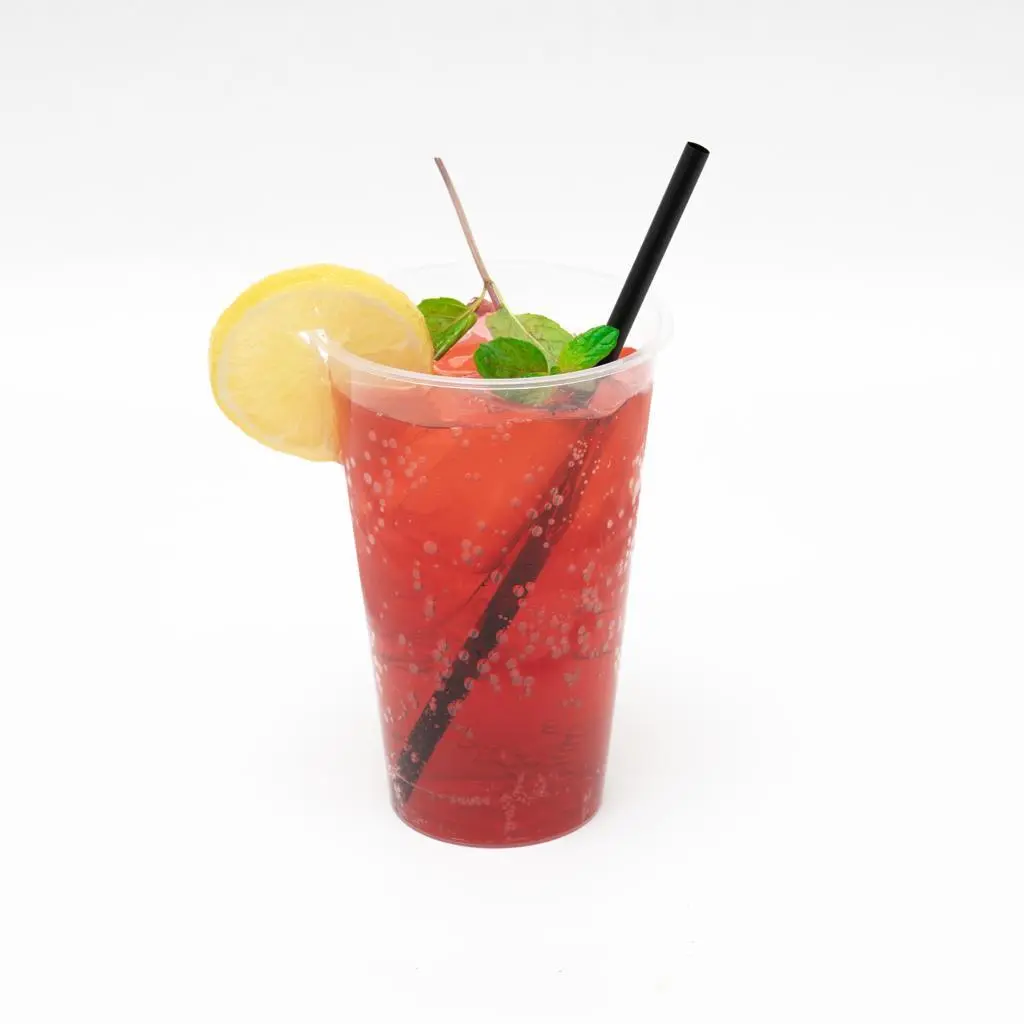 Watermelon Mojito