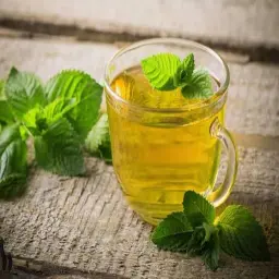 نعناع سادة