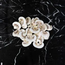 Fresh Mushroom Slices