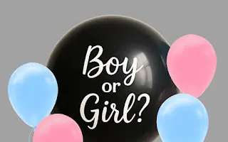 Baby Gender Reveal Set