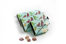 Belgian chocolate distributions