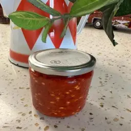 شطة شامية