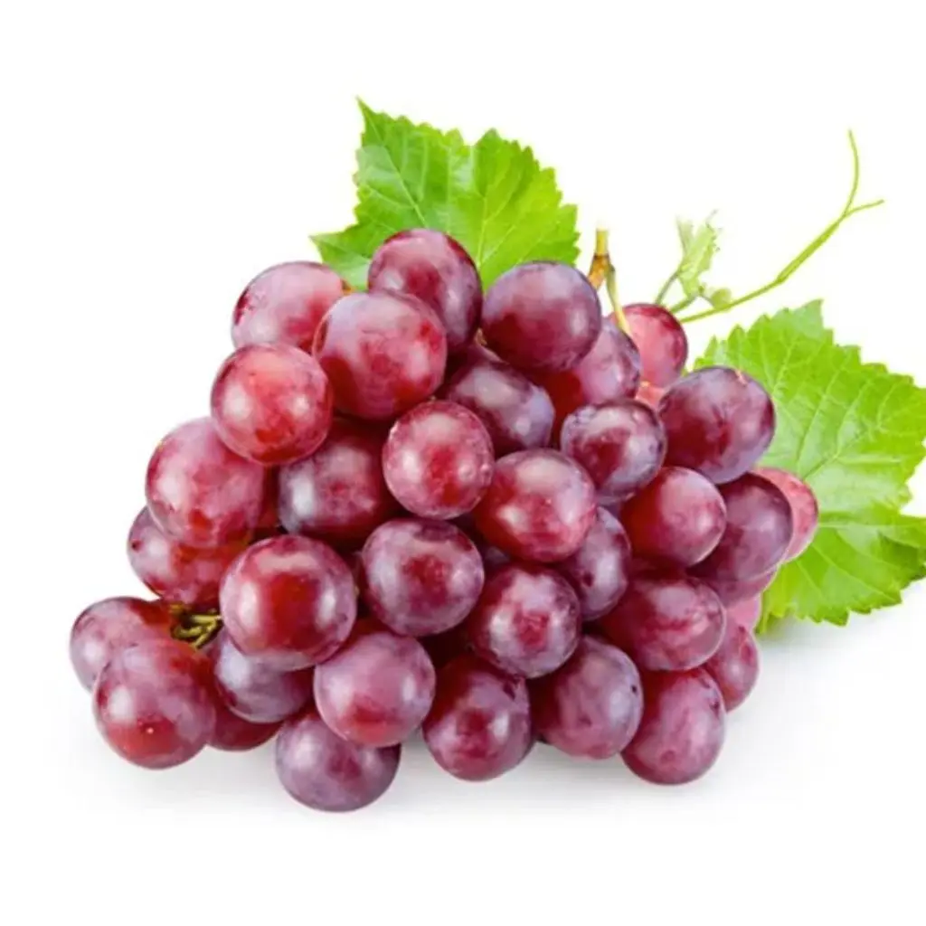 قطع عنب