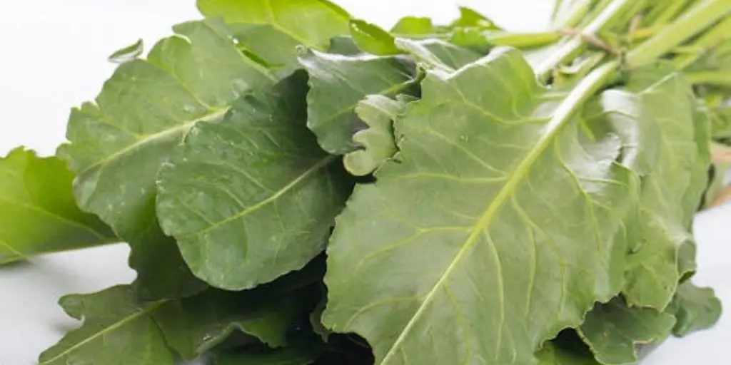 Spinach