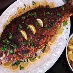سمك بلطى