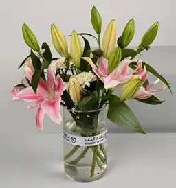 Casablanca Vase
