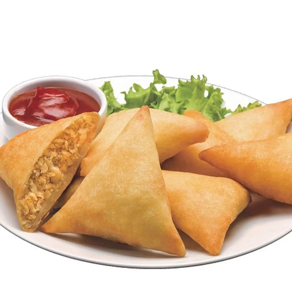 Chicken Samosa