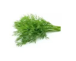 شبت
