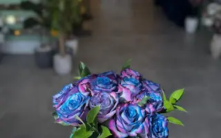 فيروز