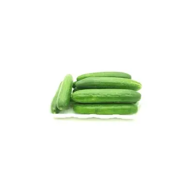 خيار طبق صغير
