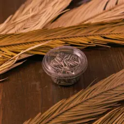 فصفص دوار الشمس