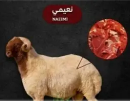 Naimi Trip
