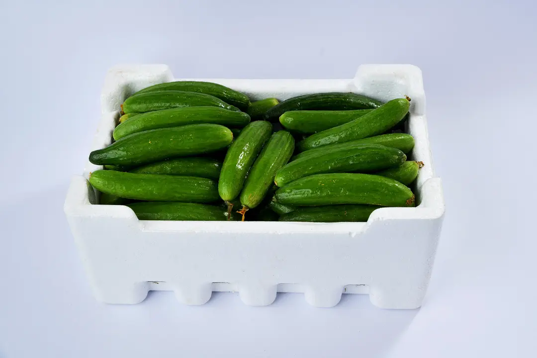 خيار فلين صغير