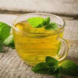 نعناع ساخن