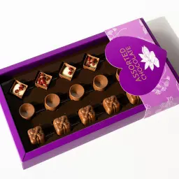 Belgian Chocolate Box with Assorted Fillings 2