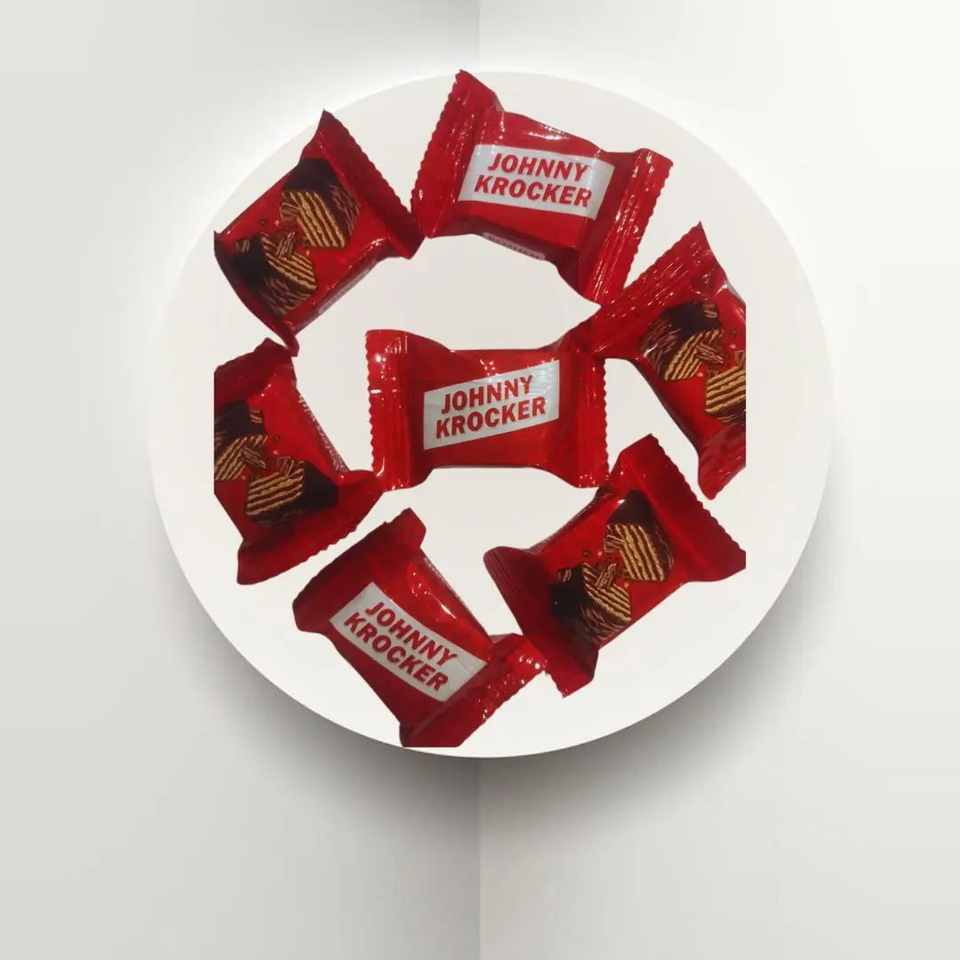 Chocolate-Coated Wafer Biscuit