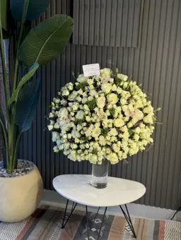 الفازة الضخمه