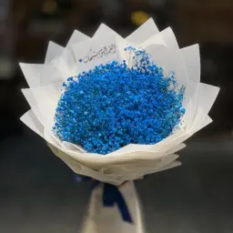 جبسوم ازرق