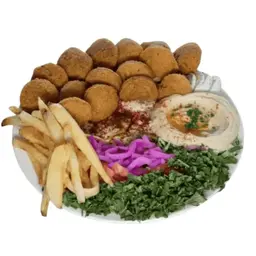 Falafel and Hummus Plate