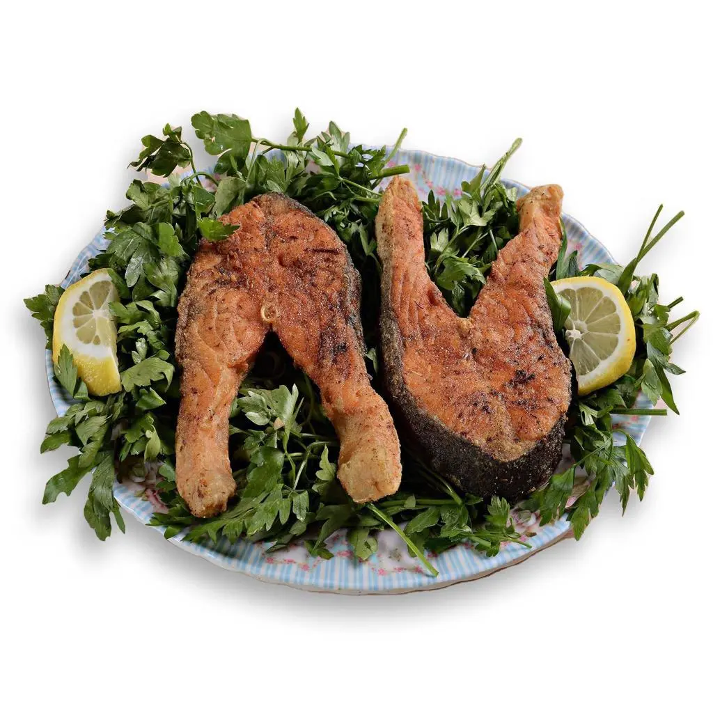 Salmon Fish