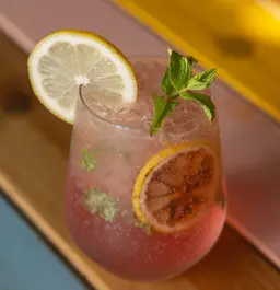 Watermelon Mojito