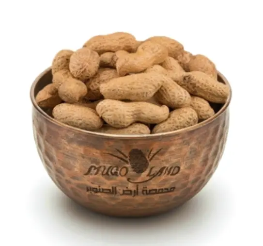 Salty Peanuts In Shell R840