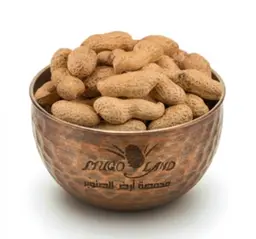 Salty Peanuts In Shell R840
