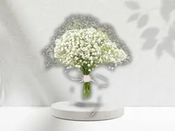 Gypsophilia
