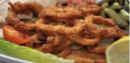 حلقات الحبار