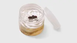 تشيز كيك التوت الأزرق