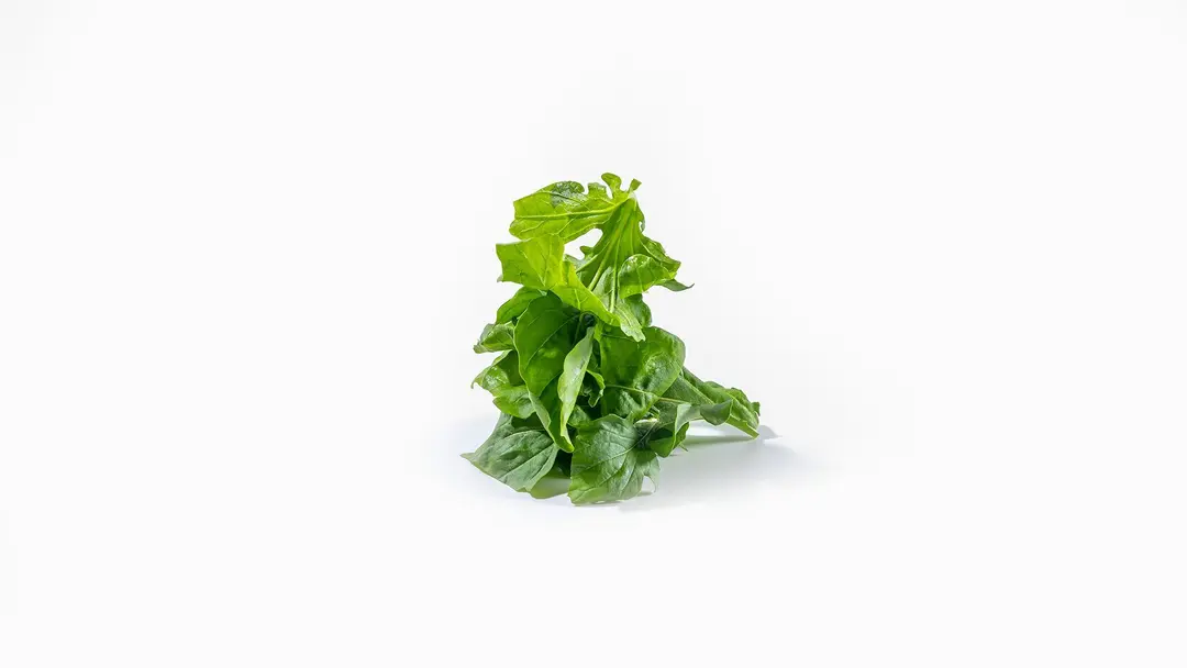 Arugula