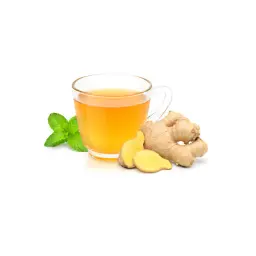 Plain Ginger