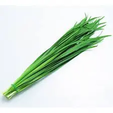 Leek