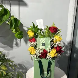 هدية باتشي 2