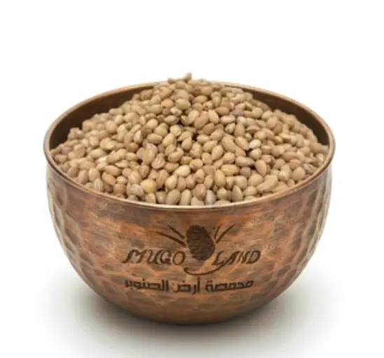 Seed Mahlab R122