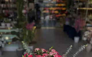 مذهلة